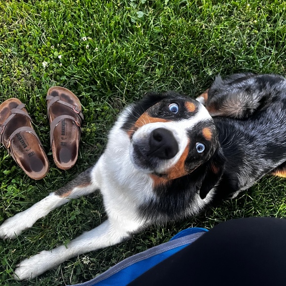 Meet your Posher, Samantha - Picture 13 of 13